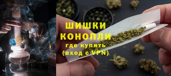сатива Снежногорск