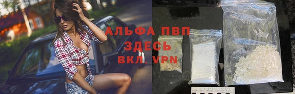 шишки Верея