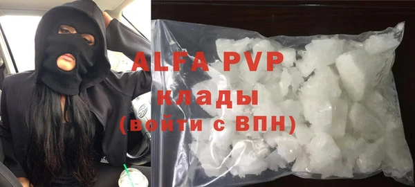 шишки Верея