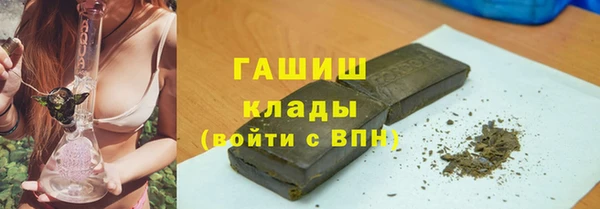 шишки Верея