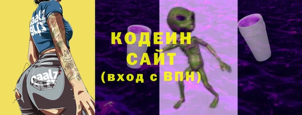 шишки Верея