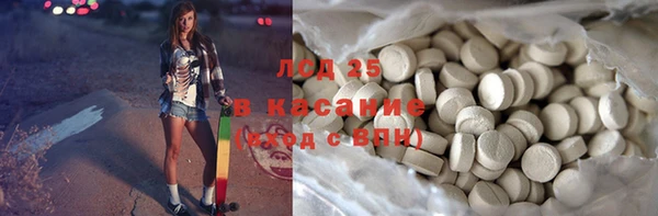 шишки Верея