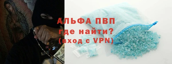 шишки Верея