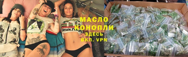 шишки Верея