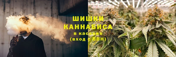 шишки Верея